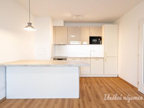 Pronájem bytu 2+kk, Praha - Žižkov, Olgy Havlové, 45 m2