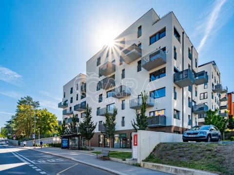 Pronájem bytu 1+kk, Praha - Strašnice, Štěchovická, 42 m2