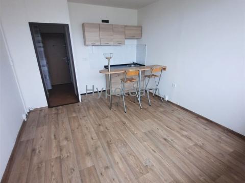 Pronájem bytu 1+kk, Ústí nad Labem - Ústí nad Labem-centrum, Hoření, 22 m2