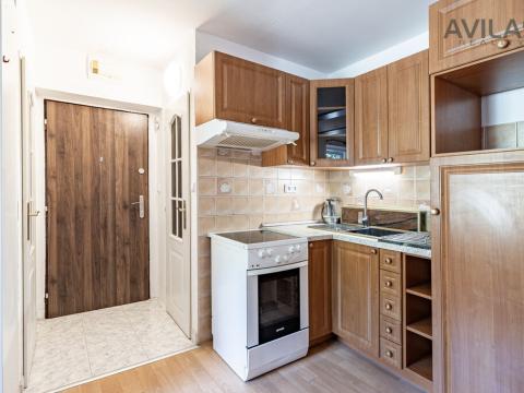 Pronájem bytu 1+kk, Zvěstov - Roudný, 25 m2