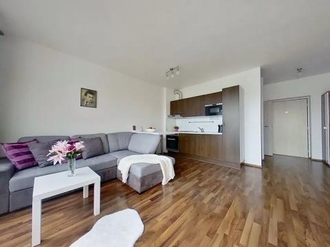 Pronájem bytu 1+kk, Brno, Fantova, 30 m2