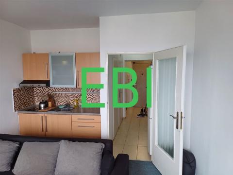 Pronájem bytu 1+kk, Praha, Batelovská, 27 m2