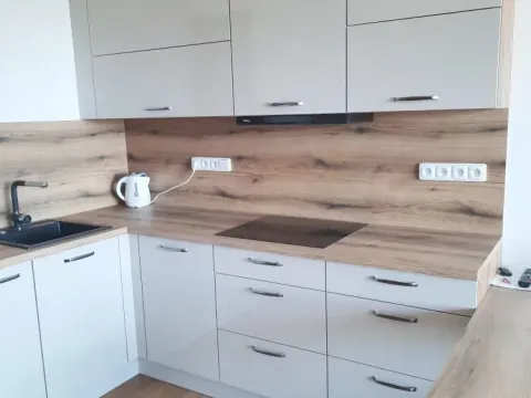 Pronájem bytu 1+kk, Olomouc, Aloise Rašína, 31 m2