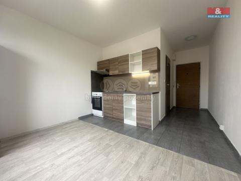 Pronájem bytu 1+1, Chomutov, Písečná, 36 m2