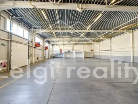 Pronájem kanceláře, Brno, 600 m2