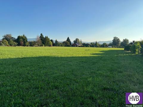 Prodej pozemku pro bydlení, Ropice, 3927 m2