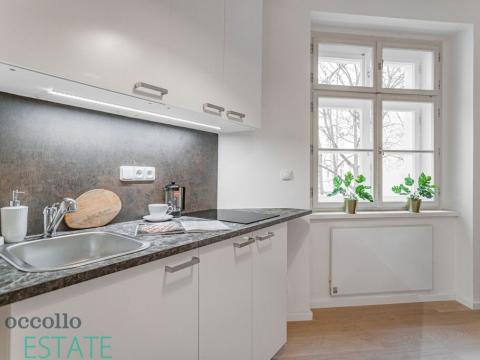 Pronájem bytu 1+kk, Praha, Zelenky-Hajského, 24 m2