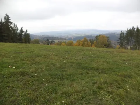 Dražba louky, Vlastiboř, 23043 m2