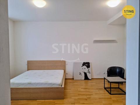 Pronájem bytu 1+1, Brno, Hrnčířská, 43 m2