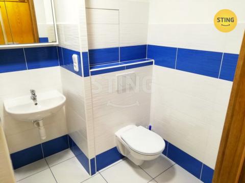 Pronájem bytu 1+1, Přerov, U Tenisu, 39 m2