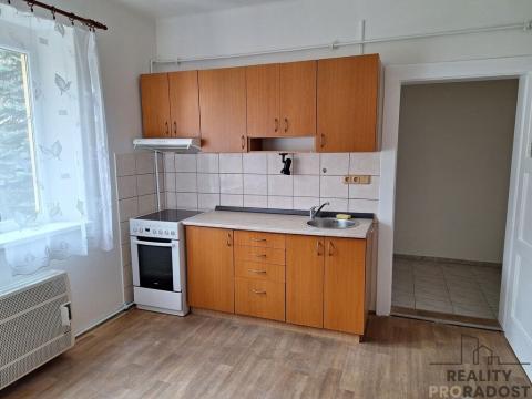 Pronájem bytu 1+1, Děčín, Riegrova, 43 m2