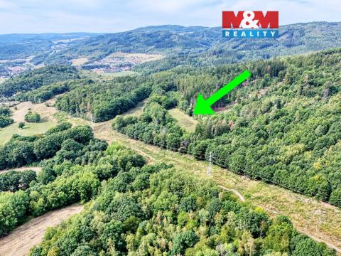 Prodej louky, Málkov, 7660 m2
