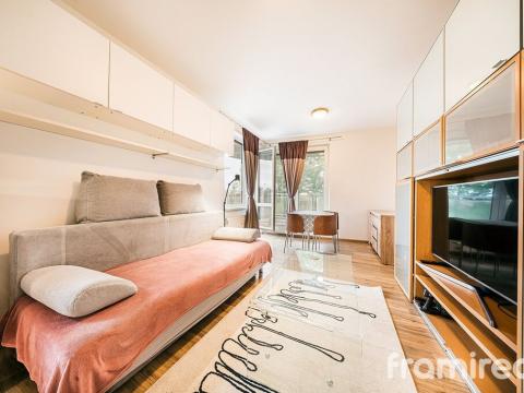 Pronájem bytu 1+kk, Brno, Pahrbek, 27 m2