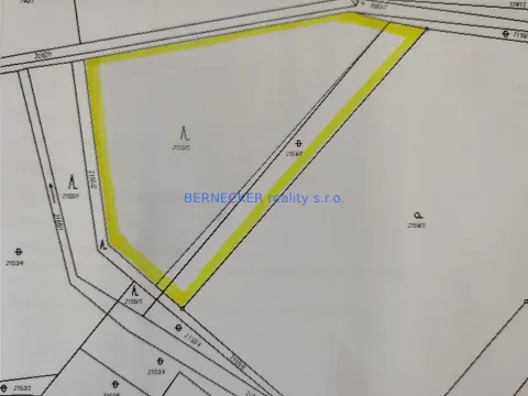 Prodej lesa, Rasošky, 5127 m2