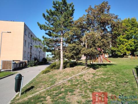 Prodej bytu 1+kk, Znojmo, Družstevní, 29 m2