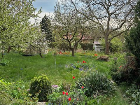 Prodej pozemku pro bydlení, Říčany, Na Ladech, 929 m2