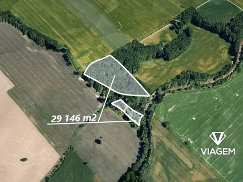 Prodej lesa, Opava, 29146 m2
