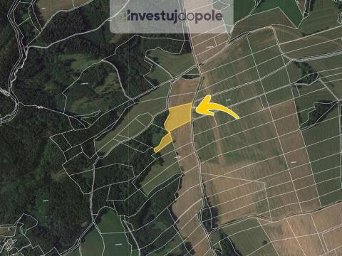 Prodej pole, Úbislavice, 15205 m2
