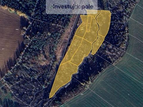 Prodej pozemku, Dobronín, 17212 m2
