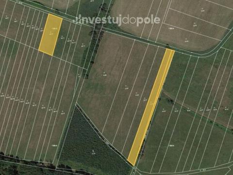 Prodej louky, Kladruby nad Labem - Kolesa, 2604 m2