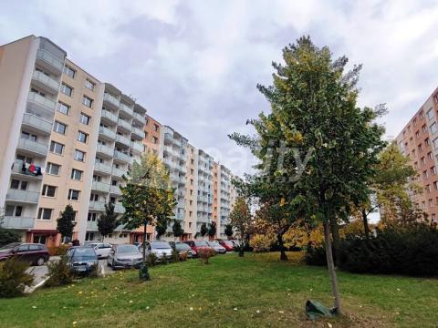 Pronájem bytu 1+1, Třebíč - Horka-Domky, 33 m2