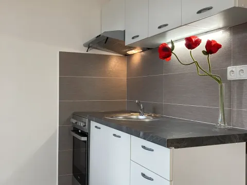 Pronájem bytu 1+1, Chomutov, 17. listopadu, 36 m2