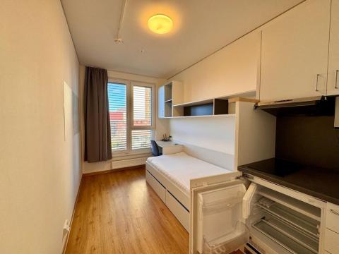 Pronájem bytu 1+kk, Praha - Holešovice, Na zátorách, 15 m2