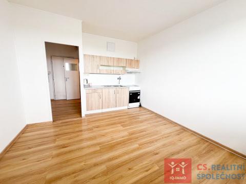 Pronájem bytu 1+1, Znojmo, Holandská, 43 m2