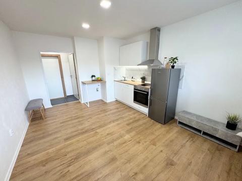 Pronájem bytu 1+kk, Jihlava, Telečská, 20 m2