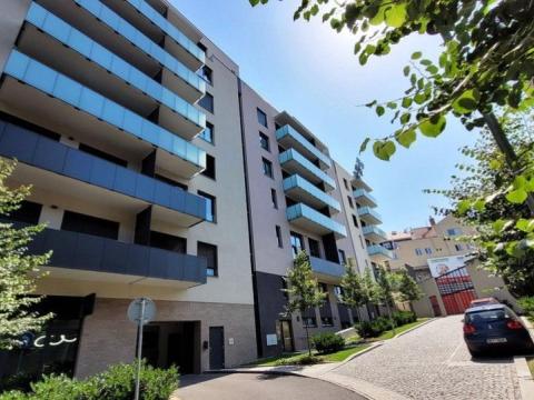 Prodej bytu 1+kk, Praha - Žižkov, U Viktorie, 49 m2