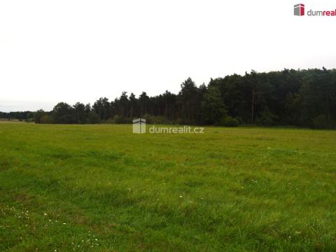 Prodej pole, Benátky nad Jizerou, Pražská, 6490 m2