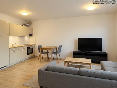Pronájem bytu 1+kk, Brno, Kigginsova, 42 m2