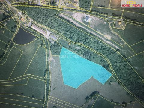 Prodej pole, Netolice, Za Mnichem, 20452 m2