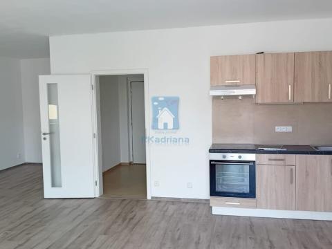 Pronájem bytu 1+kk, Plzeň, Rejskova, 54 m2