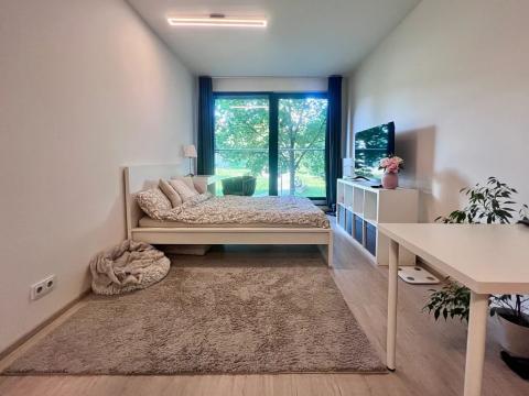 Pronájem bytu 1+kk, Brno, Hvězdová, 30 m2