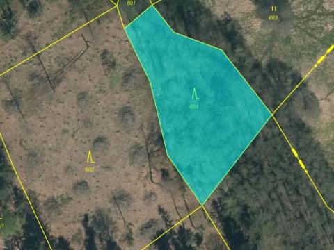 Prodej podílu lesa, Smilovy Hory, 938 m2