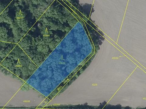 Prodej lesa, Děčany, 1581 m2