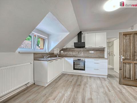 Pronájem bytu 2+kk, Záryby, 58 m2