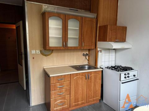 Pronájem bytu 1+1, Chomutov, Dřínovská, 42 m2
