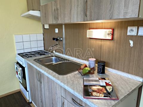 Pronájem bytu 1+1, Nový Jičín, Dlouhá, 34 m2
