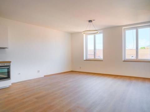 Pronájem bytu 1+kk, Silůvky, Anenská, 40 m2