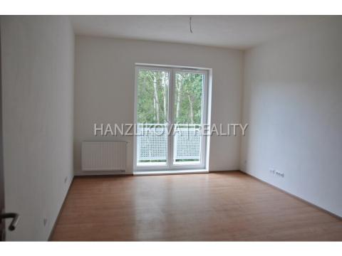 Pronájem bytu 1+kk, České Budějovice - České Budějovice 2, U Lesa, 26 m2