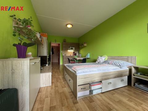 Prodej bytu 1+kk, Olomouc - Hodolany, Kavaleristů, 25 m2