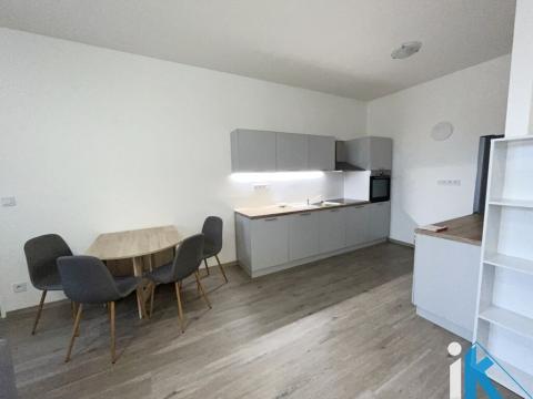 Pronájem bytu 1+kk, Prostějov, Wolkerova, 50 m2