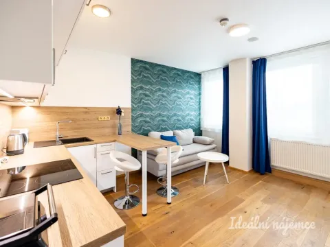 Pronájem bytu 1+kk, Praha - Vinohrady, Perucká, 26 m2