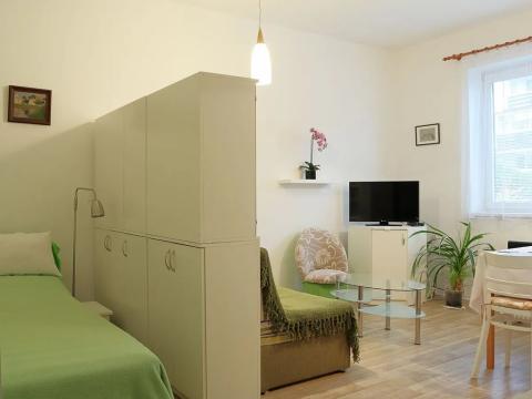 Prodej bytu 1+kk, Benešov, Čechova, 31 m2