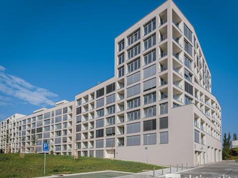 Pronájem bytu 5+kk, Praha - Karlín, Breitfeldova, 155 m2