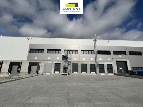 Pronájem skladu, Kozomín, 1200 m2