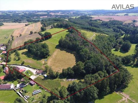 Prodej komerční nemovitosti, Týnec nad Sázavou - Krusičany, 220 m2