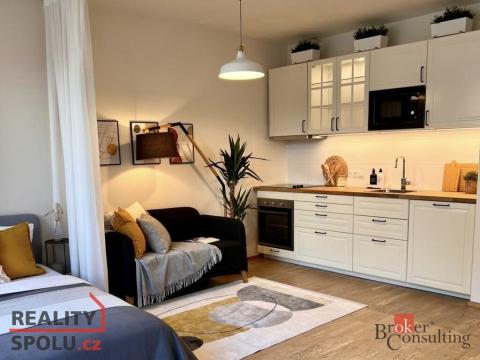 Pronájem bytu 1+kk, Praha - Holešovice, 41 m2